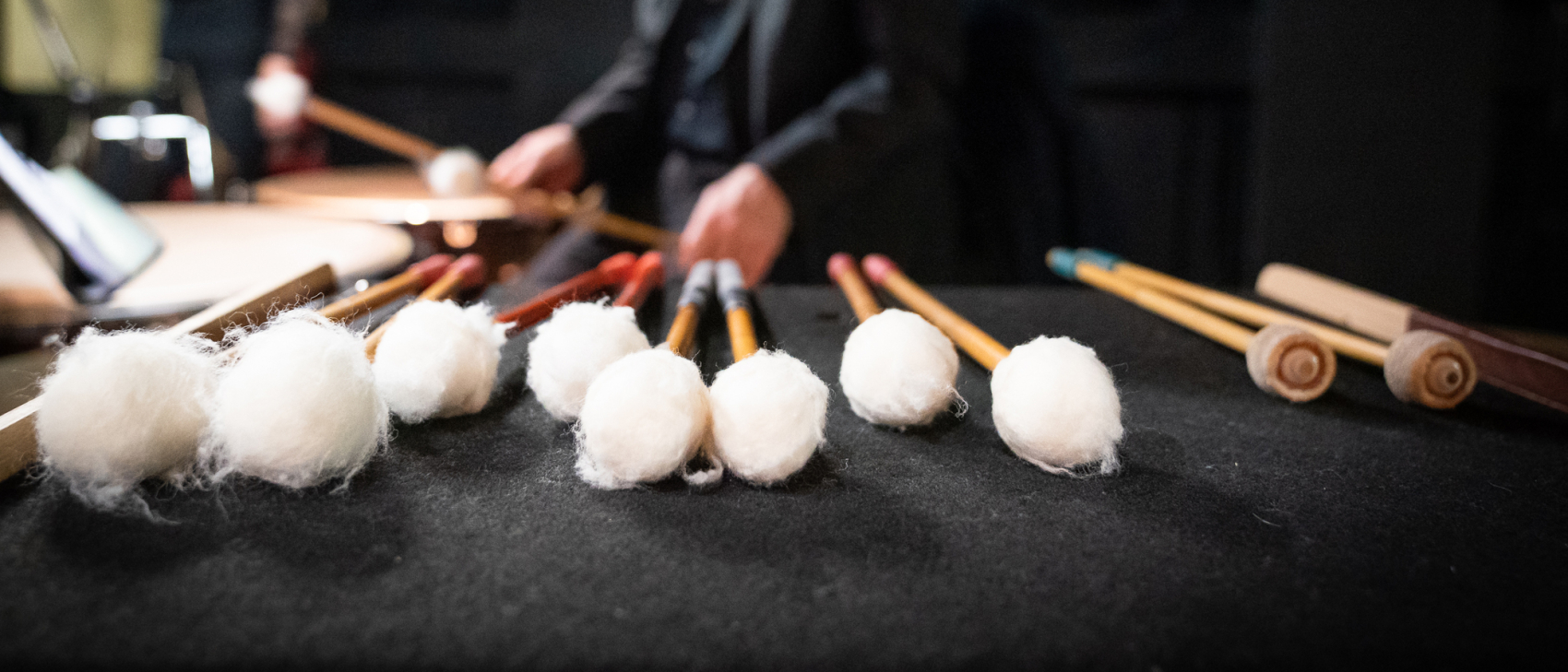 Public Interest Institution (ANBI)