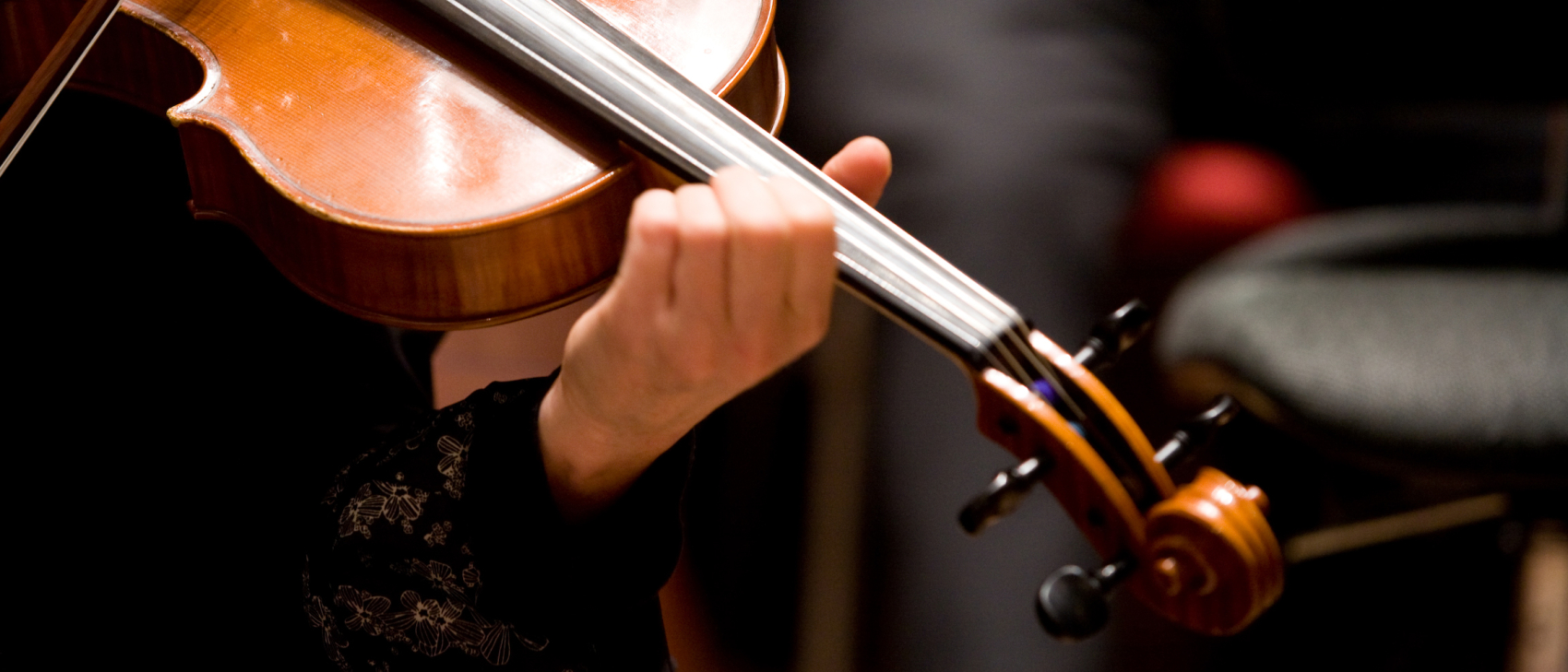 Principal viola (100%) - NedPhO